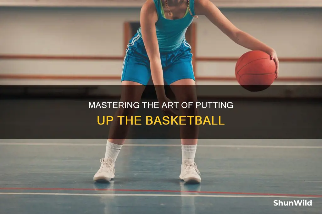 how to put up the ball basketball