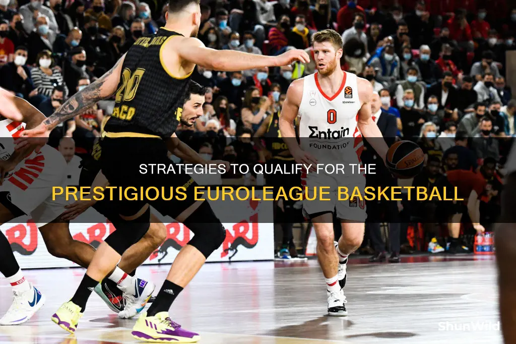 how to qualify for euroleague basketball