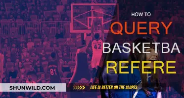 Exploring Basketball Reference: Effective Query Strategies