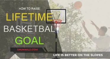 Raising Your Basketball Game: Adjusting Your Goals