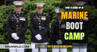 Mastering Marine Boot Camp: Proven Strategies to Climb the Ranks Fast
