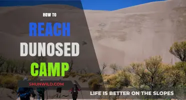 Discover the Best Route to Reach Dunosed Camp Effortlessly