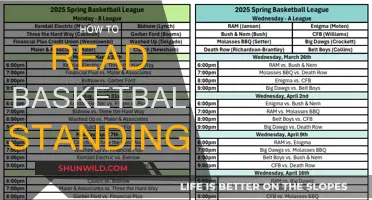 Understanding Basketball Standings: A Beginner's Guide