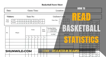 Understanding Basketball Stats: A Beginner's Guide