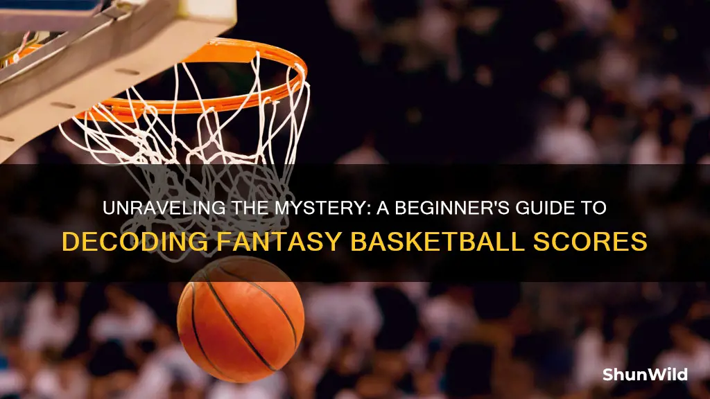 how to read fantasy basketball scores