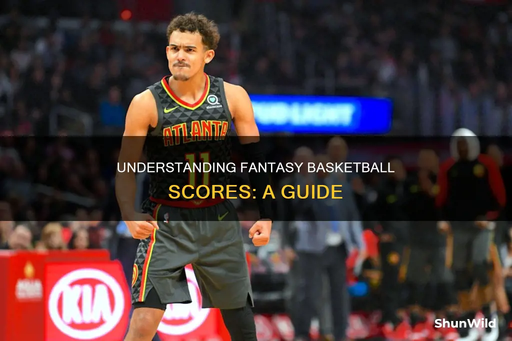 how to read fantasy basketball scores