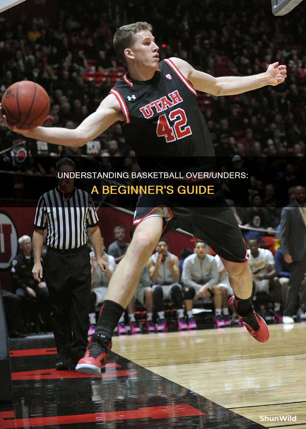 how to read over under odds basketball