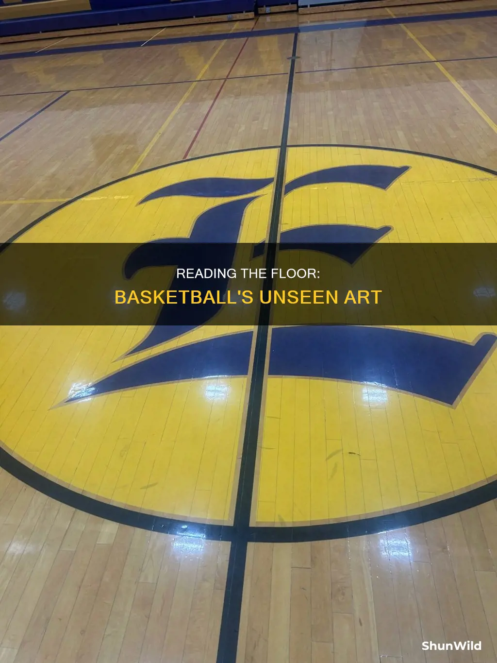 how to read the floor in basketball