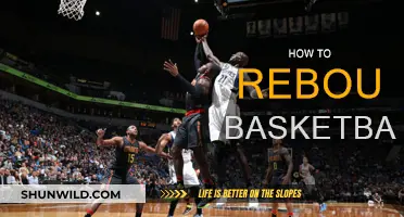 Rebounding Basketball: Mastering the Art of Securing Possessions