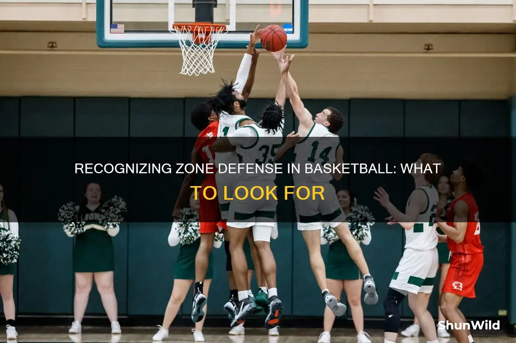 how to recognize zone defense basketball