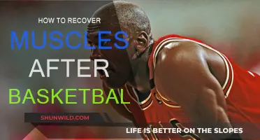 Basketball Muscle Recovery: Techniques for Quick Healing