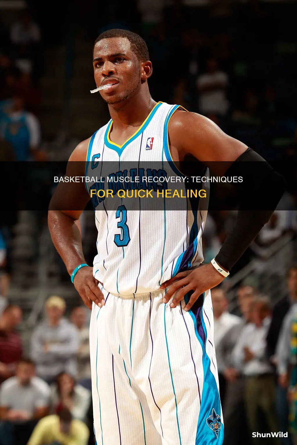 how to recover muscles after basketball
