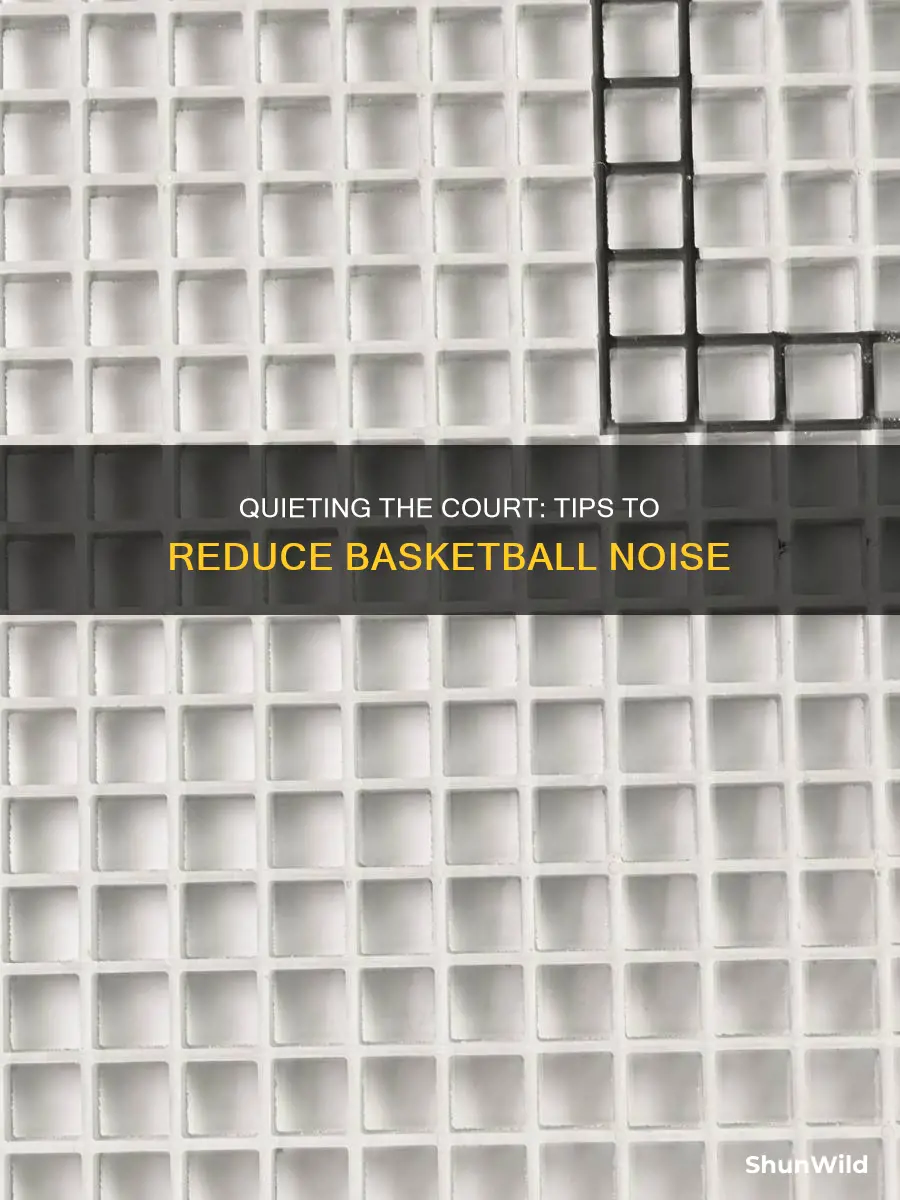 how to reduce basketball noise