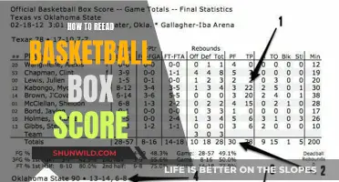 Understanding Basketball Box Scores: A Beginner's Guide