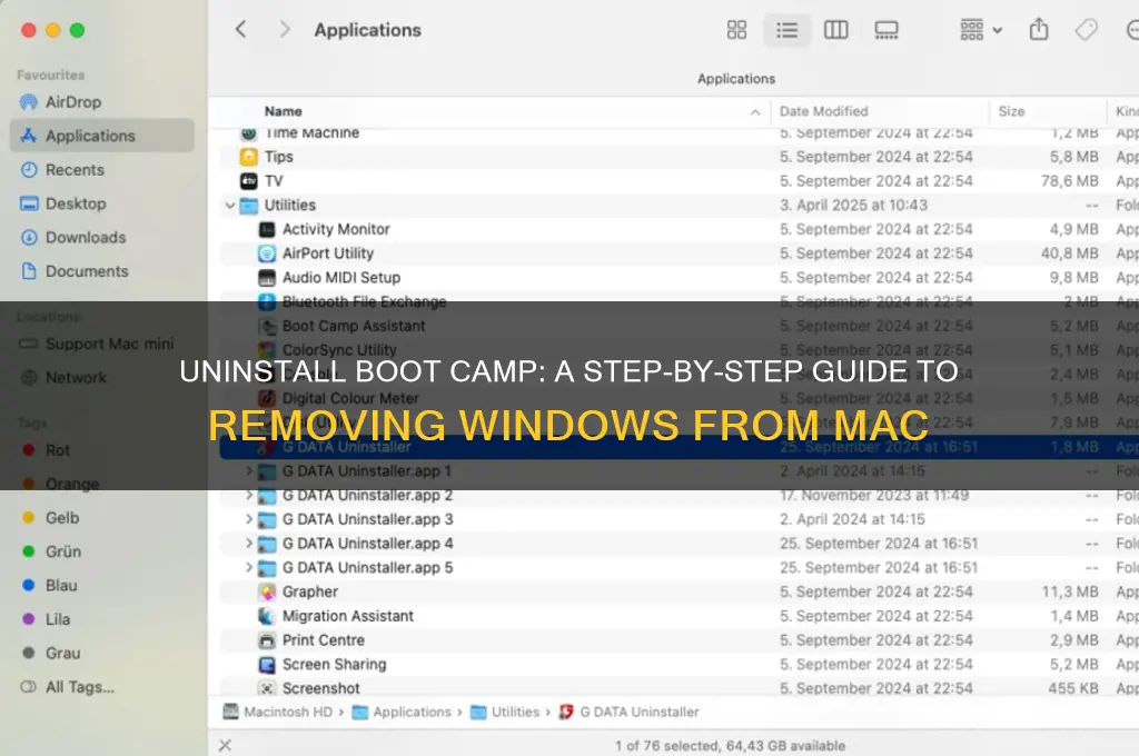 how to remove apple boot camp