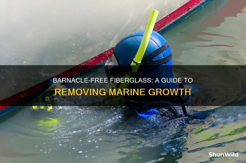 how to remove barnacles from fiberglass boat