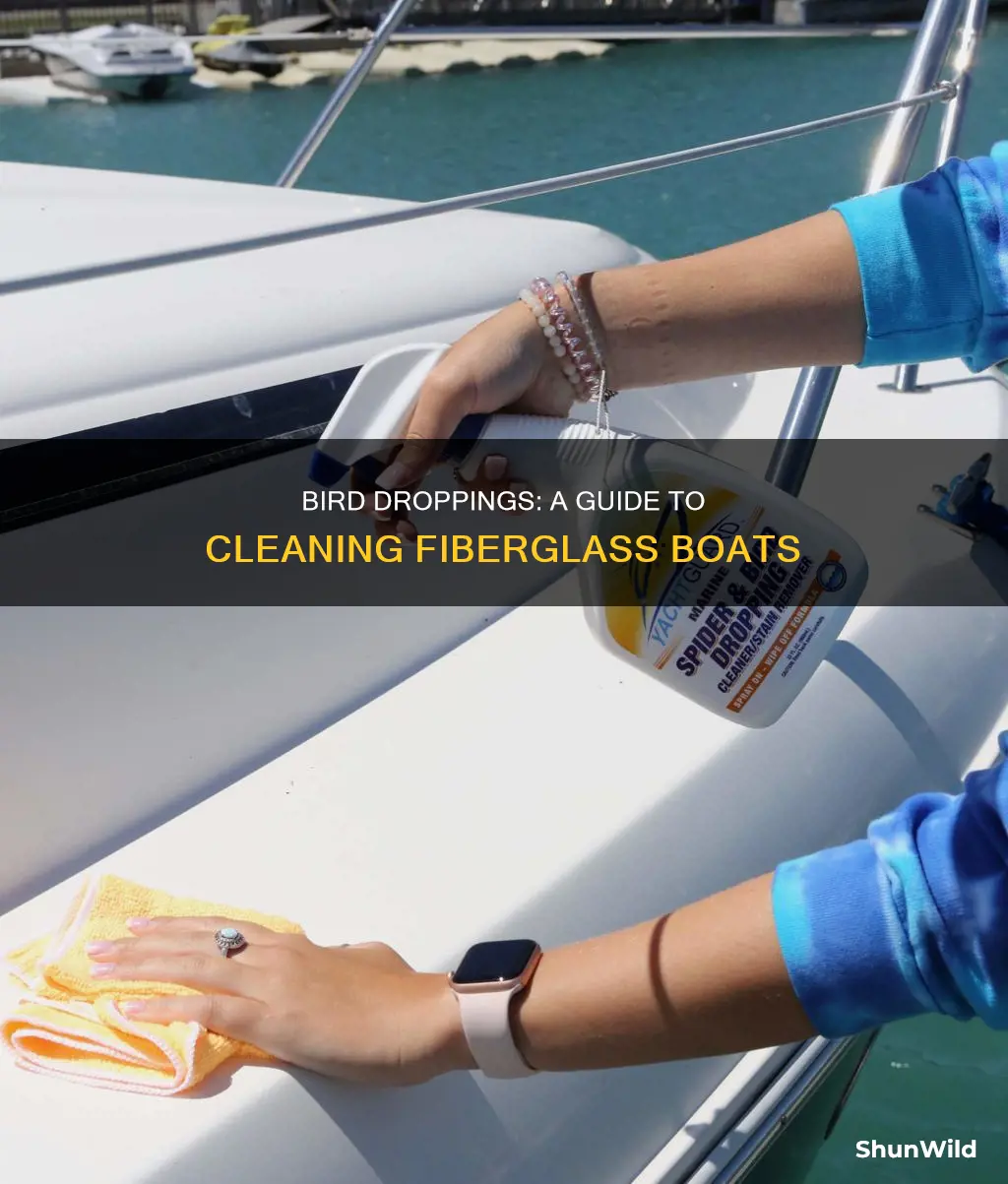 how to remove bird poop from fiberglass boat