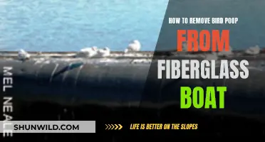 Removing Bird Droppings from a Fiberglass Boat