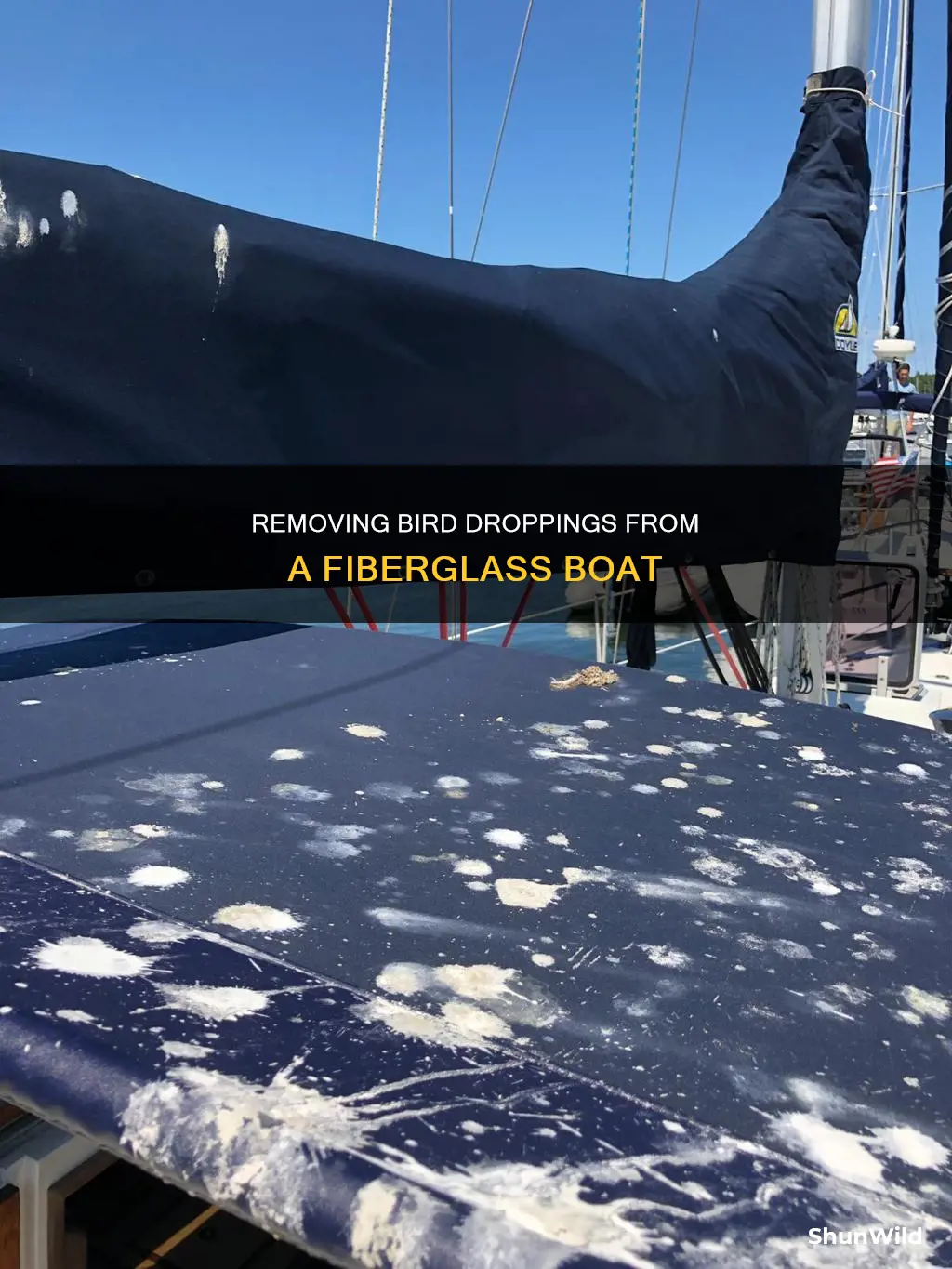 how to remove bird poop from fiberglass boat