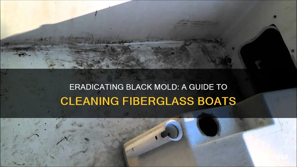 how to remove black mold from fiberglass boat