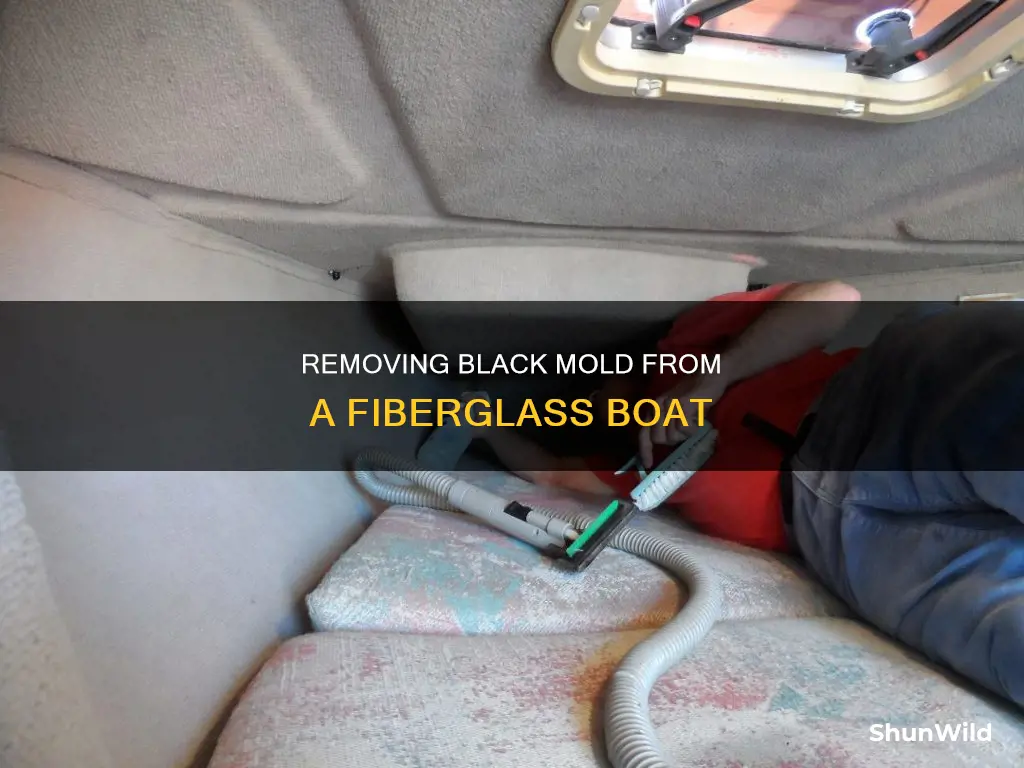 how to remove black mold from fiberglass boat