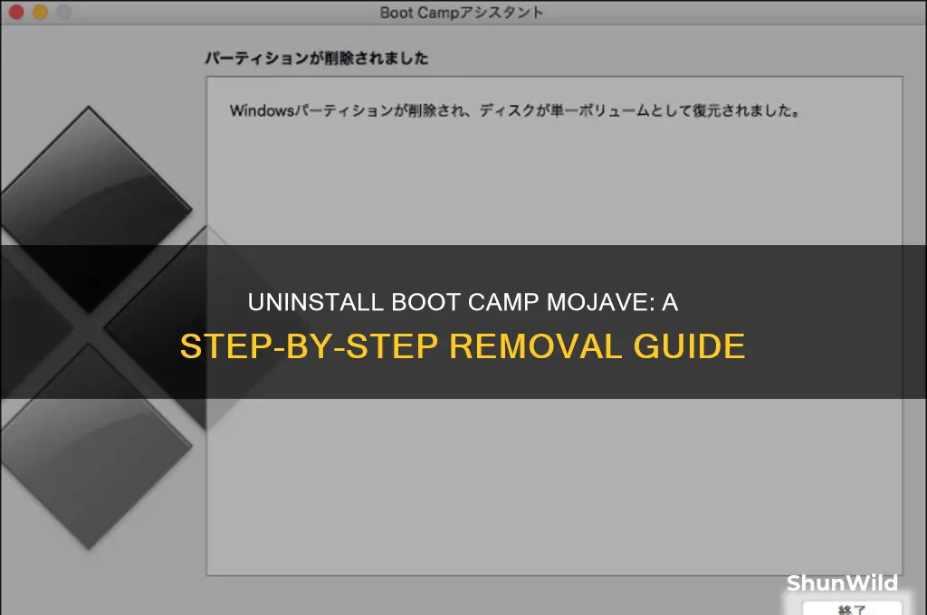 how to remove boot camp mojave