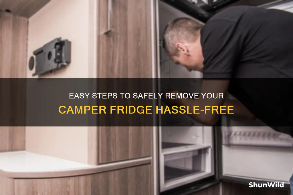 how to remove camper fridge