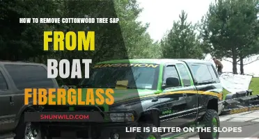 Cottonwood Sap Removal: A Guide to Cleaning Boat Fiberglass