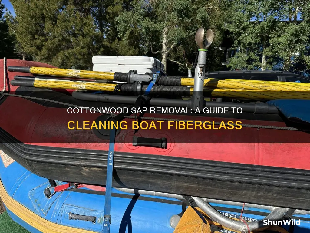 how to remove cottonwood tree sap from boat fiberglass