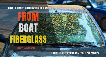 Removing Tree Sap from Boat Fiberglass: Cottonwood Conundrum