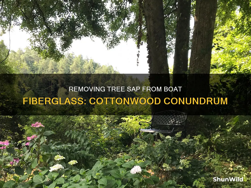 how to remove cottonwood tree sap from boat fiberglass