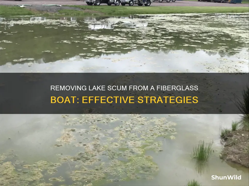 how to remove lake scum from fiberglass boat