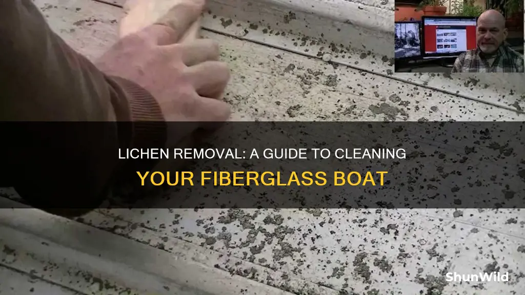 how to remove lichen from fiberglass boat