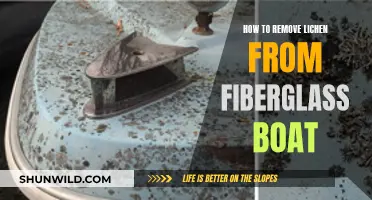 Removing Lichen from a Fiberglass Boat: Effective Strategies