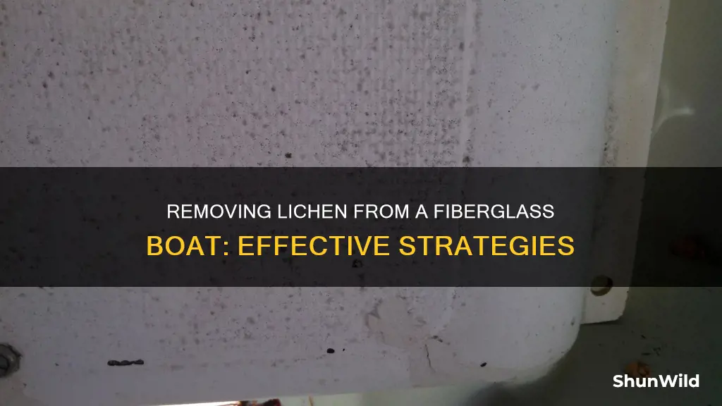 how to remove lichen from fiberglass boat