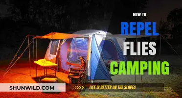 Effective Camping Tips to Keep Flies Away Outdoors