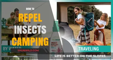 Effective Camping Tips: Repel Insects and Enjoy the Great Outdoors