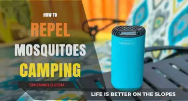 Effective Camping Tips: Repel Mosquitoes and Enjoy the Outdoors