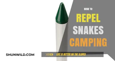 Effective Snake Repellent Tips for Safe and Stress-Free Camping Trips