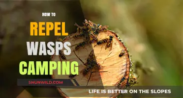Effective Camping Tips: Repel Wasps and Enjoy a Sting-Free Outdoor Adventure