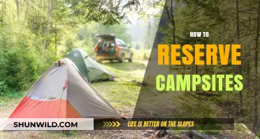 Master Campsite Reservations: Tips for Securing Your Outdoor Adventure Spot