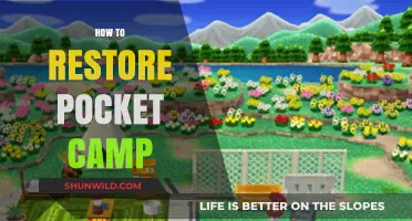 Revive Your Pocket Camp: Essential Tips for Restoration and Renewal