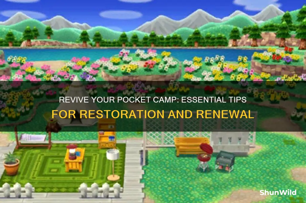 how to restore pocket camp