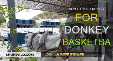 Tackling Donkey Basketball: Riding Basics