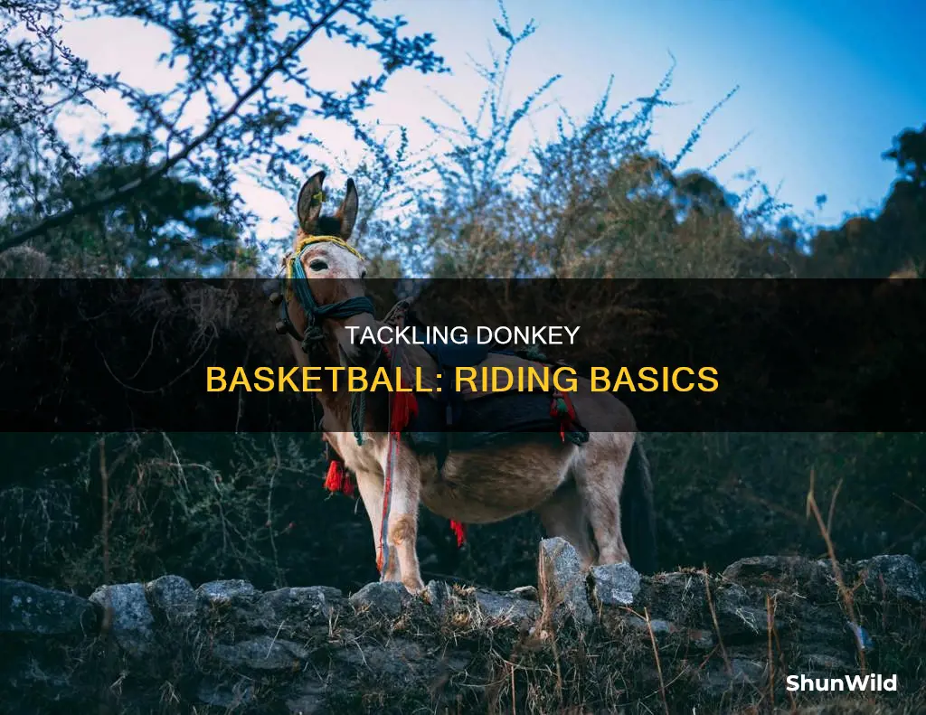 how to ride a donkey for donkey basketball