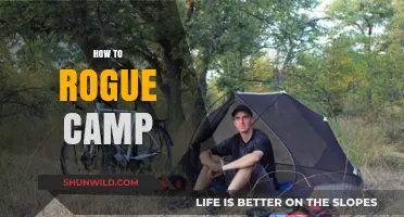 Master Rogue Camping: Stealthy Tips for Unseen Wilderness Survival