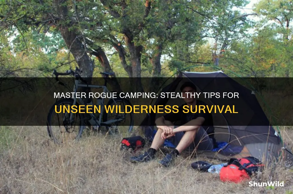 how to rogue camp