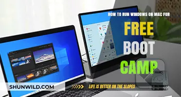 Run Windows on Mac for Free: Boot Camp Guide