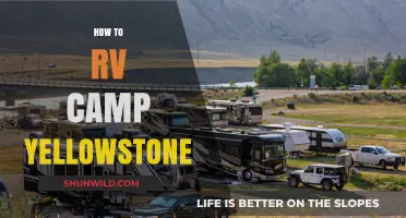 RV Camping Yellowstone: Ultimate Guide to Exploring the Park's Wonders