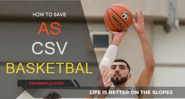 Exploring Basketball-Reference: Save Data as CSV